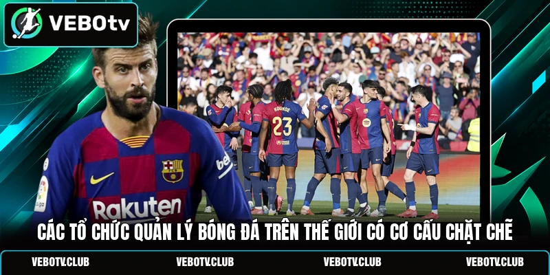 Các tổ chức quản lý bóng đá trên thế giới có cơ cấu chặt chẽ