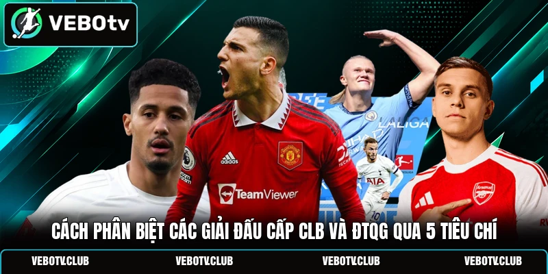 Cách Phân Biệt Các Giải Đấu Cấp CLB Và ĐTQG Qua 5 Tiêu Chí